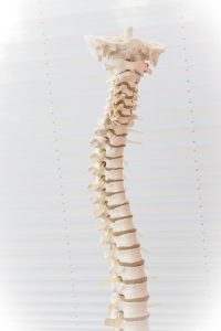 Home Chiropractie in Noordwijk: Behandelkamer met chiropractor die patiënt ondersteunt bij holistische gezondheid en welzijn